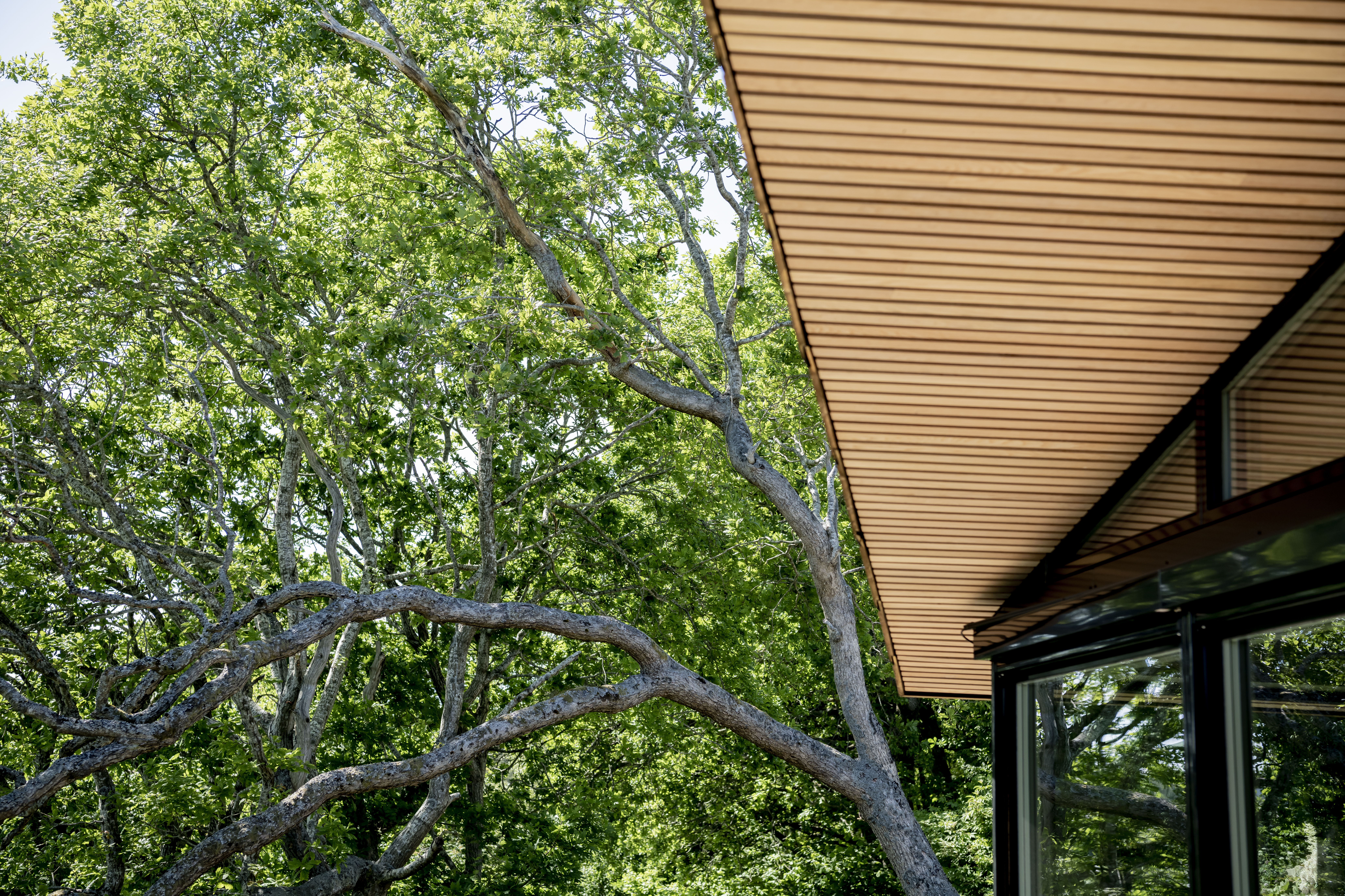 Duco-Indretrevegen-180621-1647