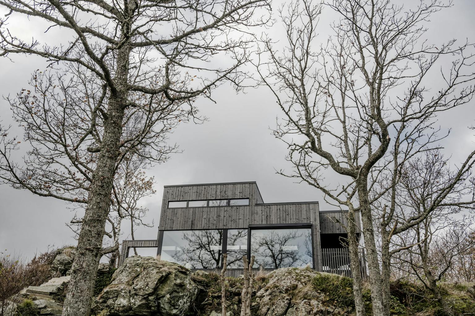 Medium-Duco-CasaPachecoVaage-7101