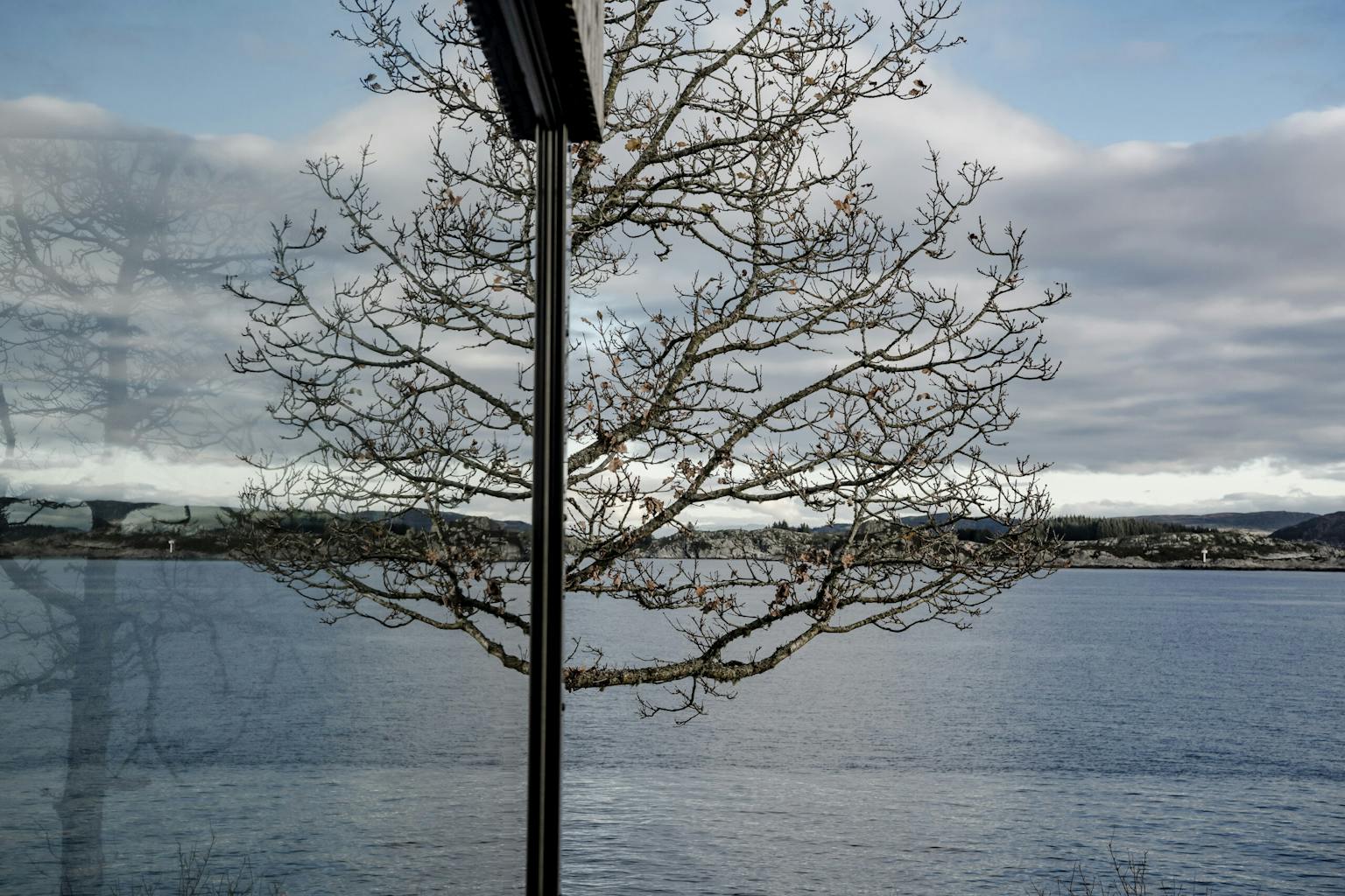 Medium-Duco-CasaPachecoVaage-7550