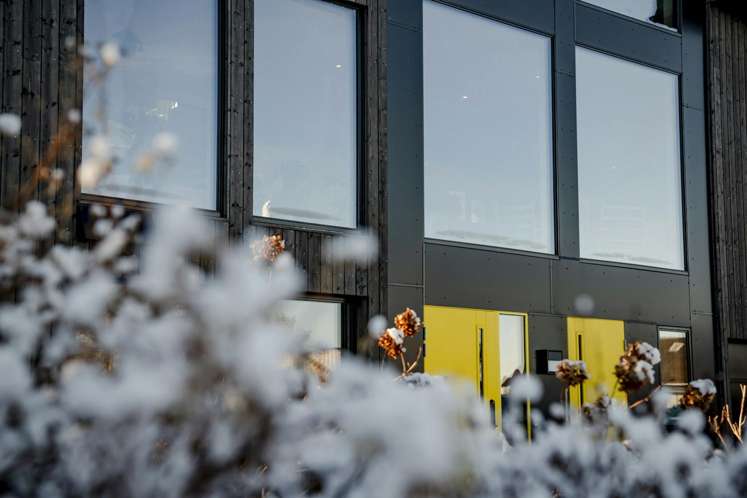 Medium-Duco-Avaldsnes-211124-9551-2